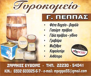 banner 300x250